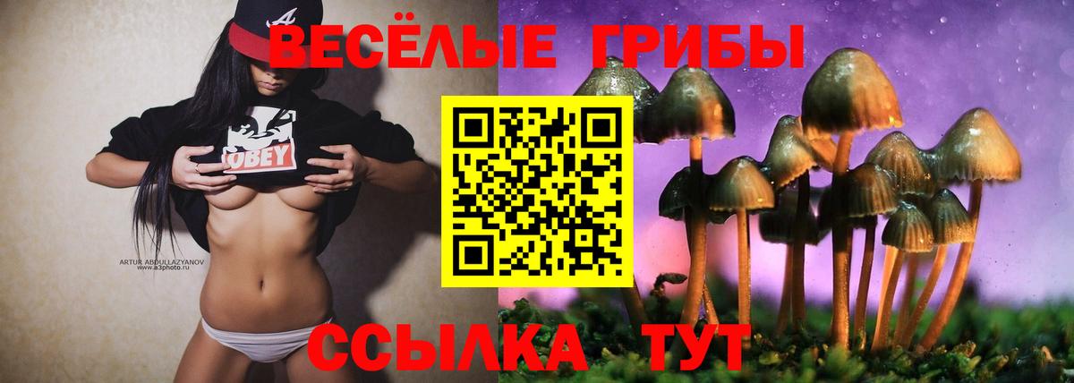 Арсеньев  Галлюциногенные грибы GOLDEN TEACHER  Вход с VPN 